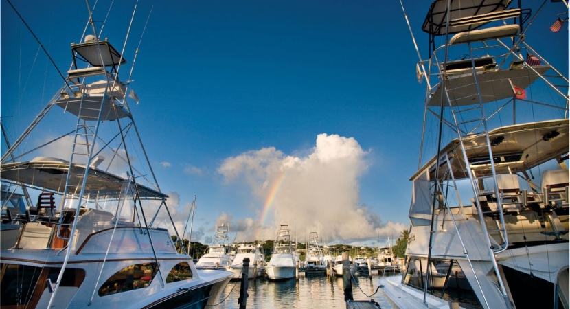 American Yacht Harbor