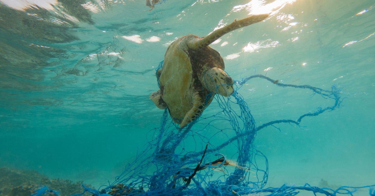 Plastic pollution 1200x630