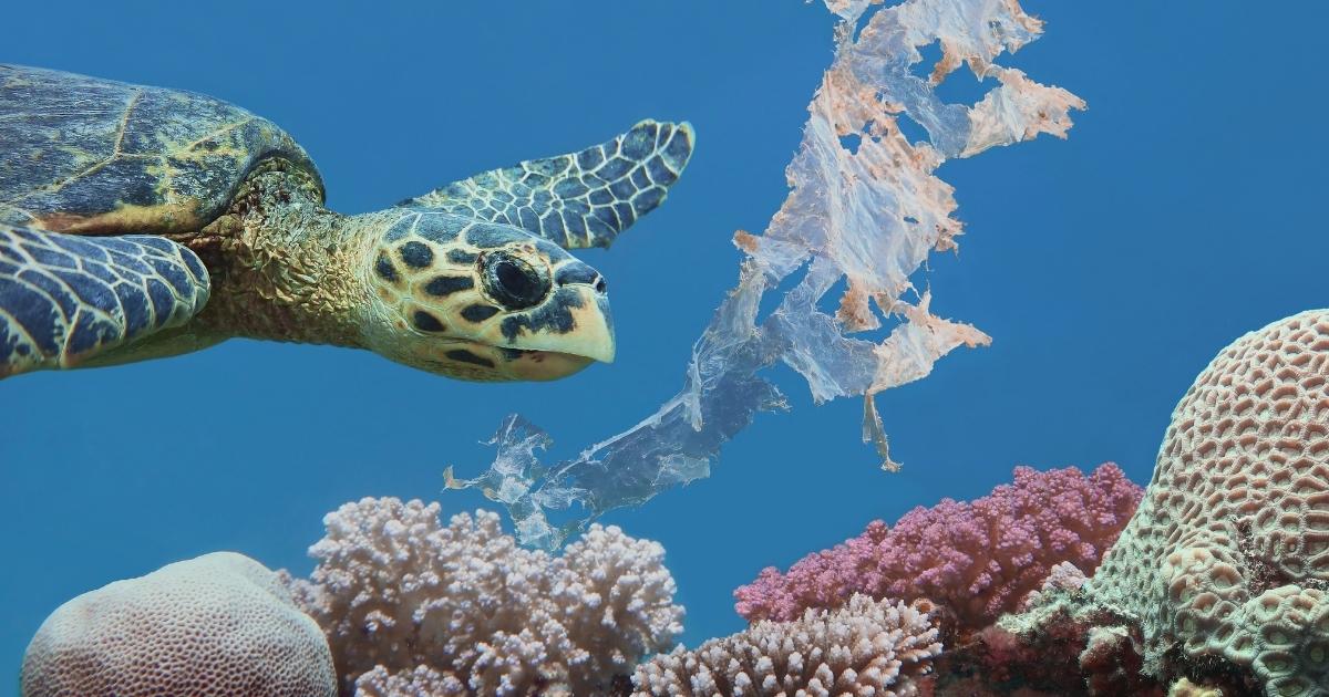 Plastic pollution 1200x630