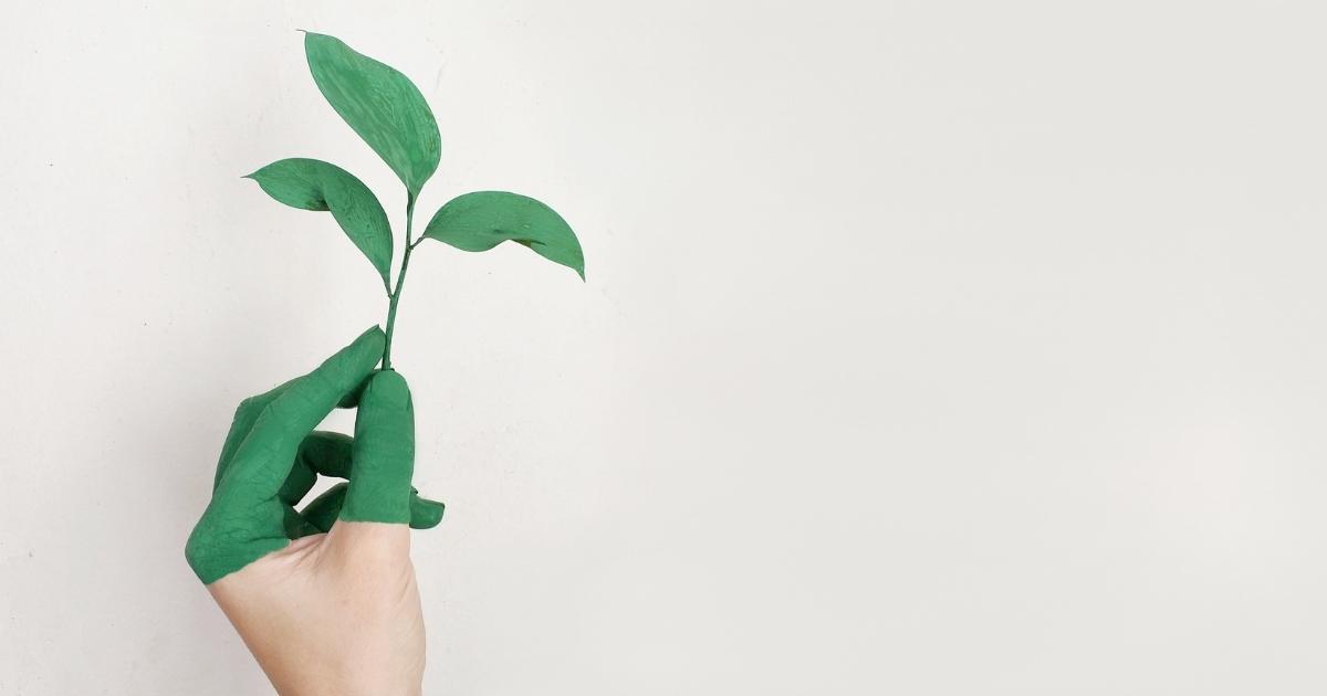Sustainability 1200x630