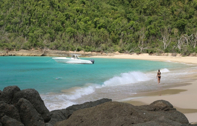 USVI IGY 1200x800 3