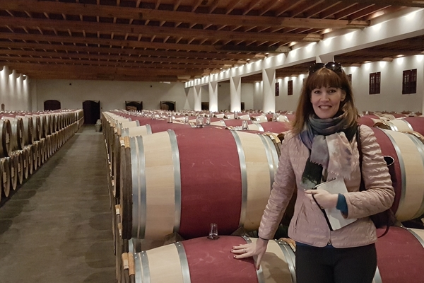 wine louise cellar