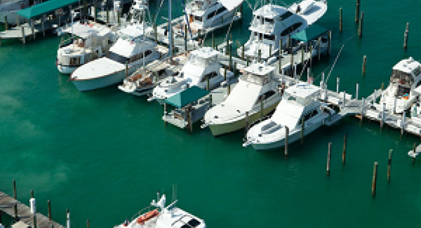 Conch Harbor Marina