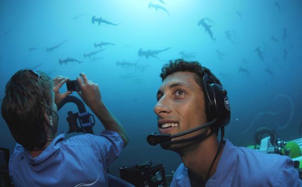 Sub with sharks