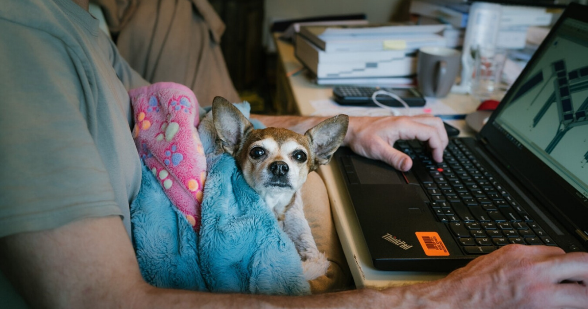 Work from home 4 Rebecca Whitlocke 1200x630